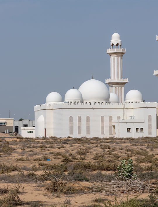 umm al quwain free zone company formation uae