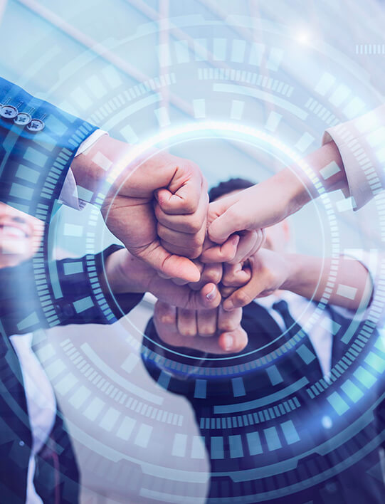 why choose bizvisor